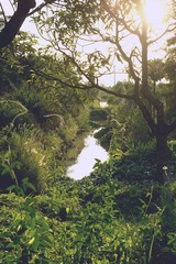 DSC09068.jpg