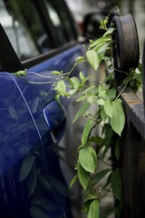 DSC02410-LR.jpg