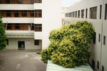 DSC07357风景.JPG