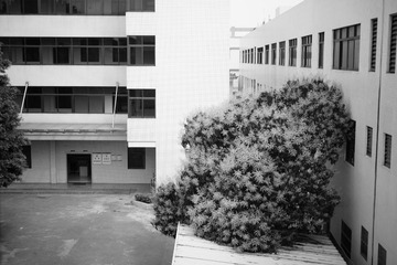 DSC07357黑白.JPG