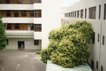 DSC07357清淡.JPG