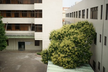 DSC07357深色.JPG