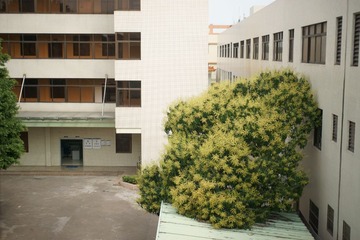 DSC07357肖像.JPG
