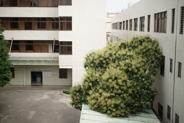 DSC07357中性.JPG