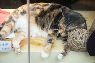 DSC07652.JPG