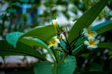 DSC00083-LR.jpg