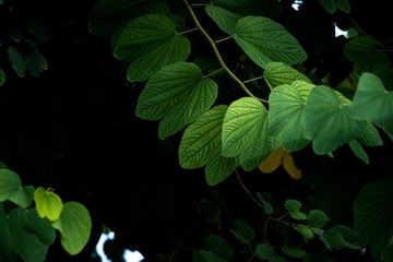 DSC03569-LR