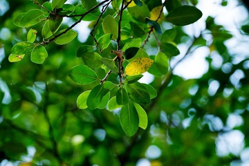 DSC03578-LR