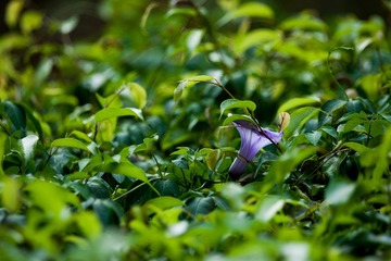DSC03582-LR