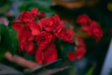DSC01948-LR