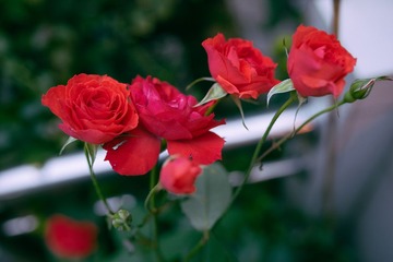 DSC01957-LR