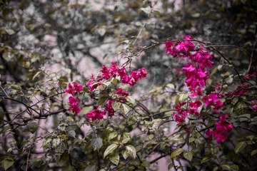DSC01961-LR