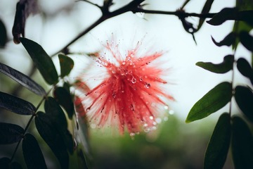 DSC02098-LR