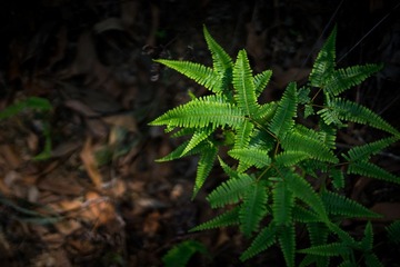DSC02253-LR