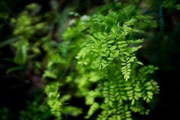 DSC02257-LR