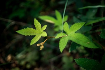 DSC02281-LR