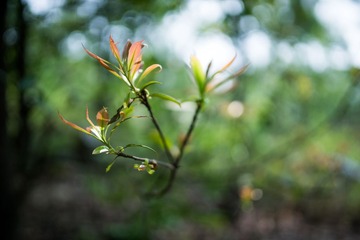 DSC02290-LR