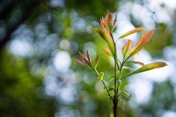 DSC02294-LR