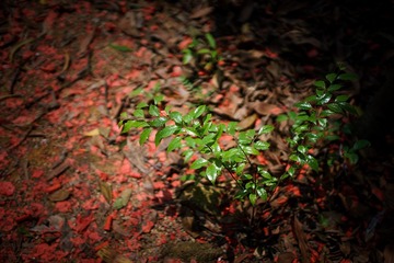 DSC02320-LR