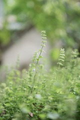 DSC02429-LR