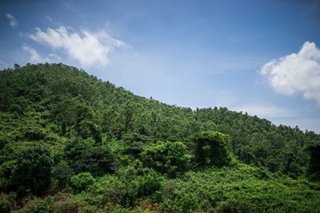DSC05627-Lr