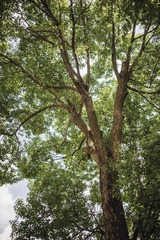 DSC05615-Lr