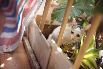 DSC05899-Lr