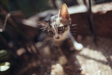 DSC05913-Lr