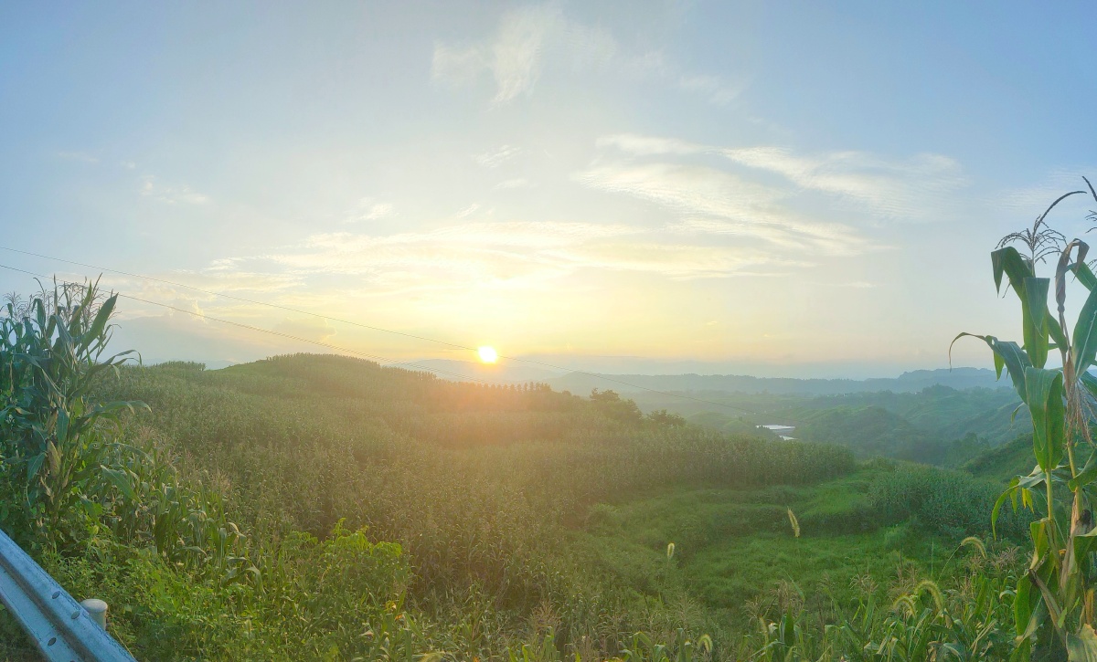 夏季农村的早晨,拍的不好,希望你们不要嫌弃(我是学生,想挣点零花钱)