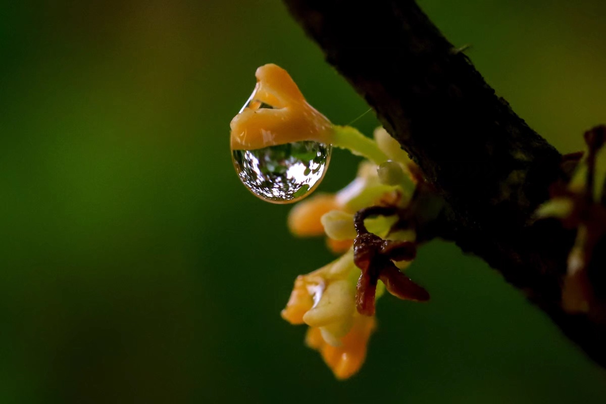 雨后的大自然