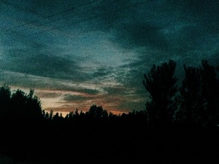 1306019