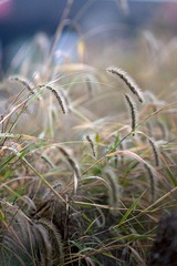 2011110504.jpg
