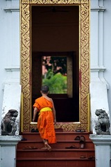 IMG_5874_S.jpg