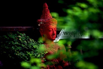 IMG_5984_S.jpg