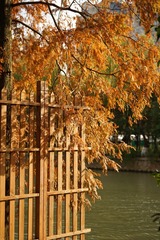 04C0EF50-29D4-45AF-BE4C-40605ED4CF05/L0/001