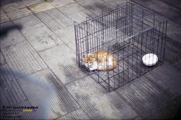YC_FUJI0009.jpg