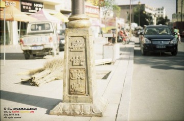Kodak009_gai_1.jpg