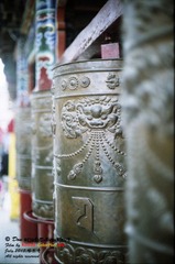 Kodak025_gai_1.jpg