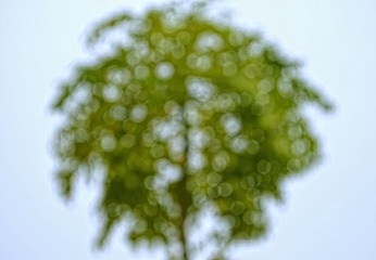 DSC_2461.jpg