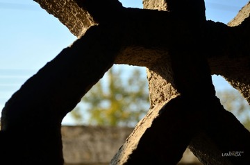 DSC_3718.jpg
