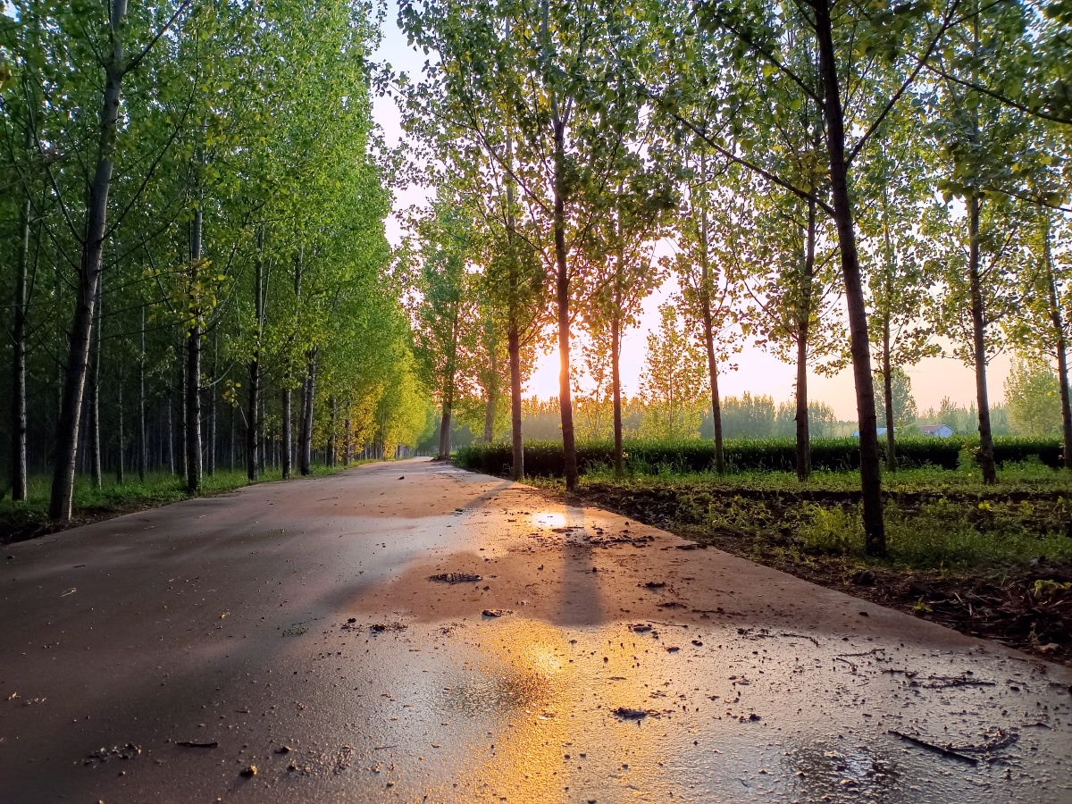 走在乡间小路上感受夕阳的无限美