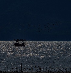 B2F80431-01A8-4A71-8214-59276AEDF420/L0/001