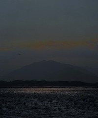 9B70A20F-88DB-463F-A4F6-D3DF3B5A8A42/L0/001