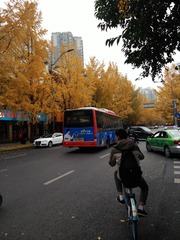 8983349E-2624-43D3-BDFC-1BE85A5CDC52/L0/001