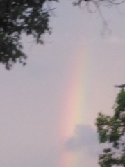2011153