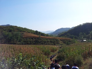 55028C4E-8929-4F09-B2CA-CEBF868D204E/L0/001