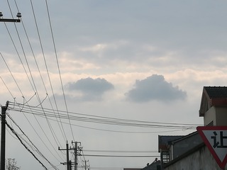 320032