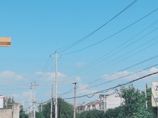 444305