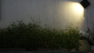 85411