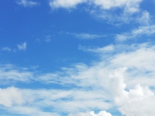 1013344